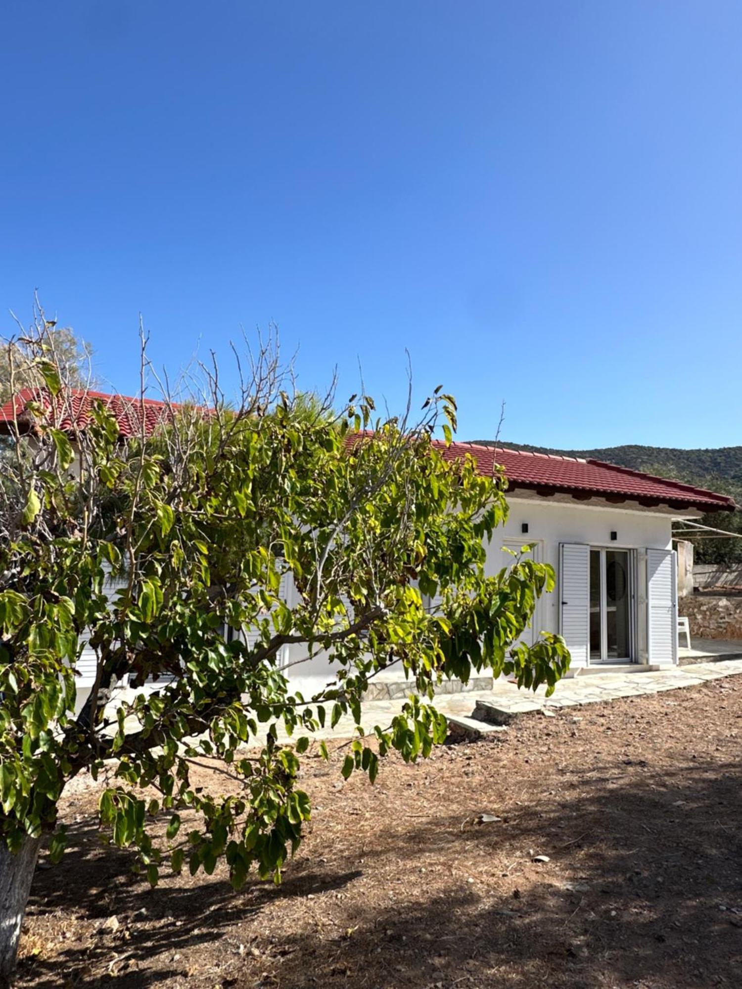 Coast Cottage Porto Rafti-Avlaki Eksteriør bilde